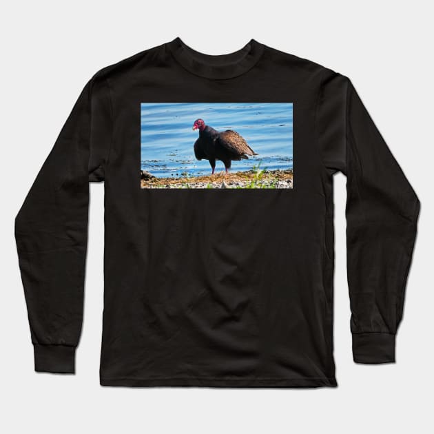 Turkey Vulture Staring A The Camera Long Sleeve T-Shirt by BackyardBirder